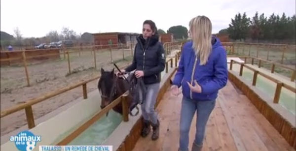 reportage animaux de la 8